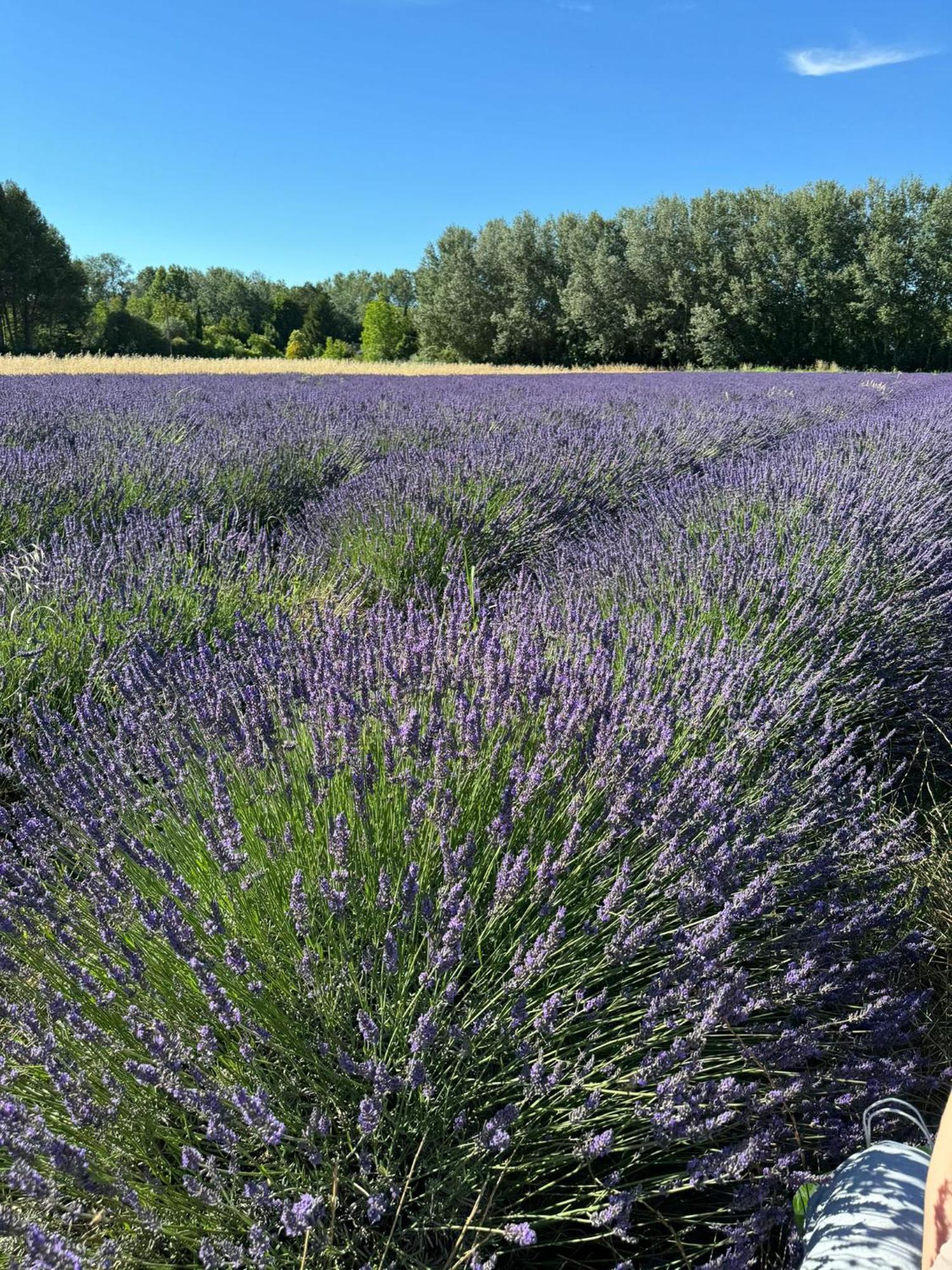 Appartement Neuf Et Au Calme Proche Avignon Althen-des-Paluds Exteriér fotografie